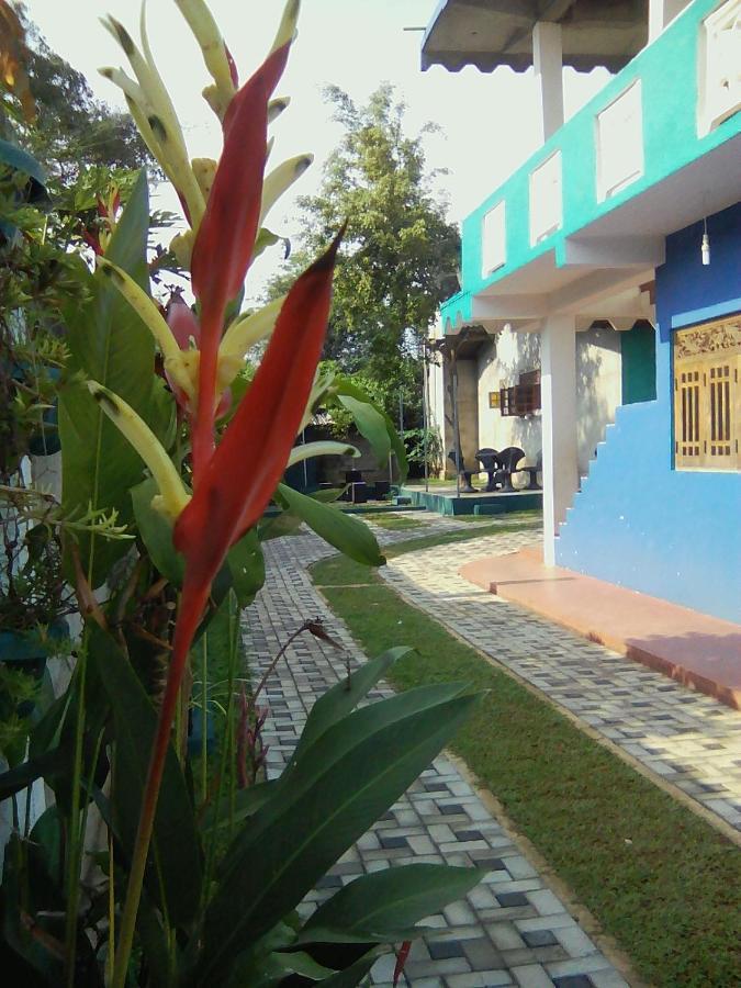 Thomasha Homestay 웰라와야 외부 사진
