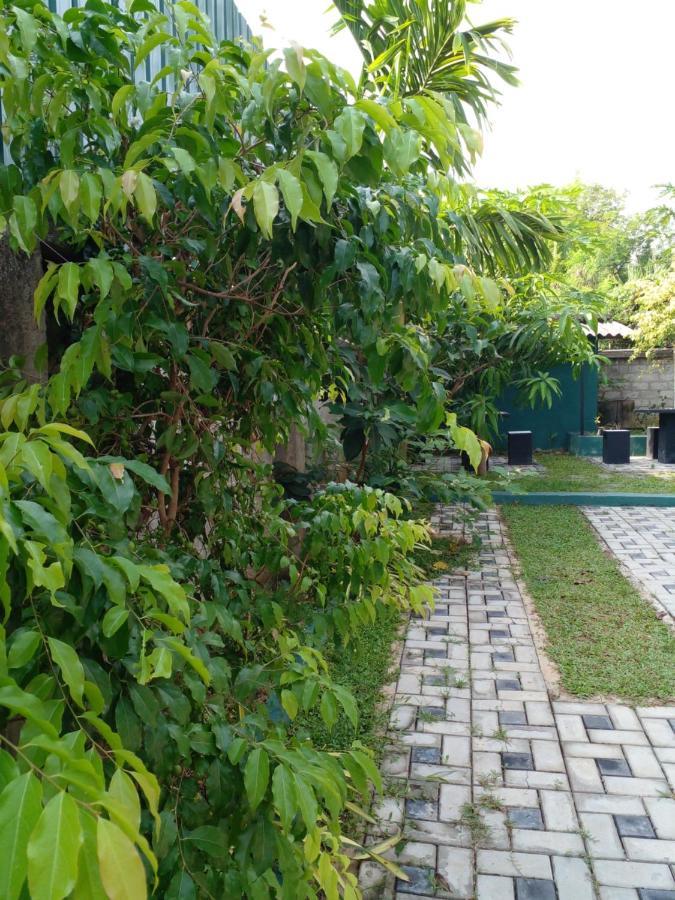 Thomasha Homestay 웰라와야 외부 사진