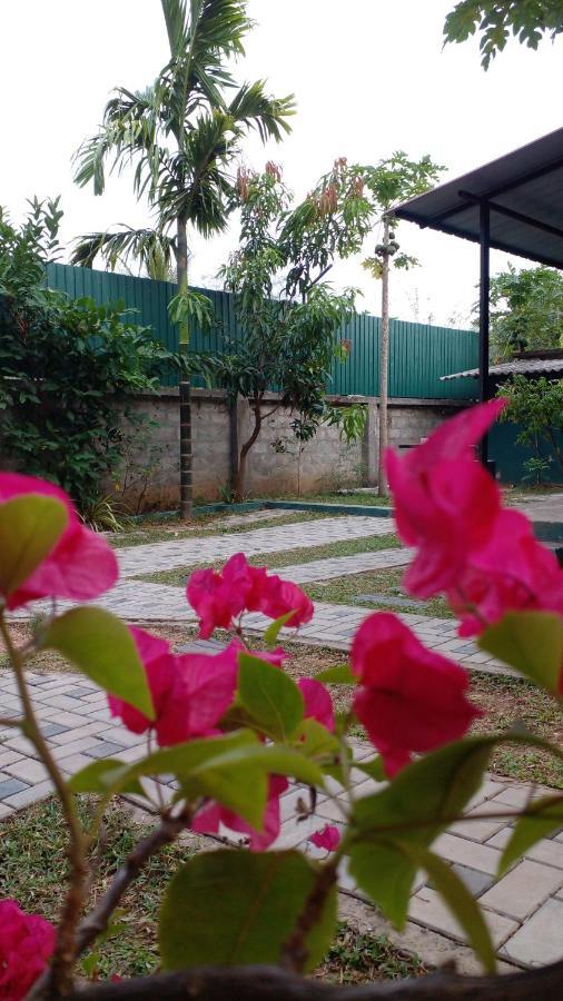 Thomasha Homestay 웰라와야 외부 사진